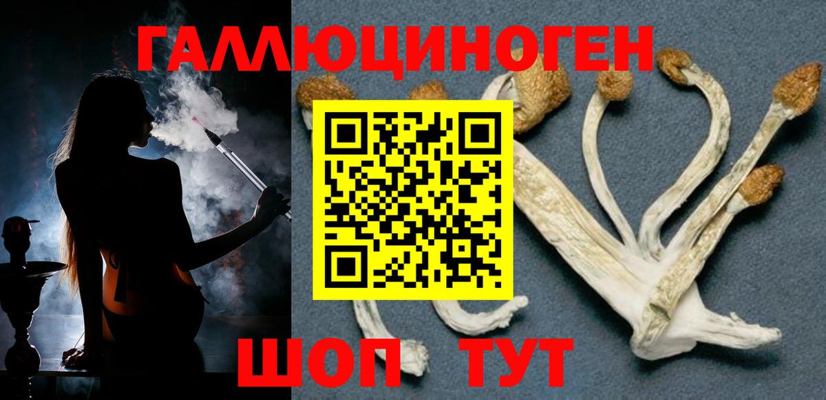 Галлюциногенные грибы ЛСД Великие Луки