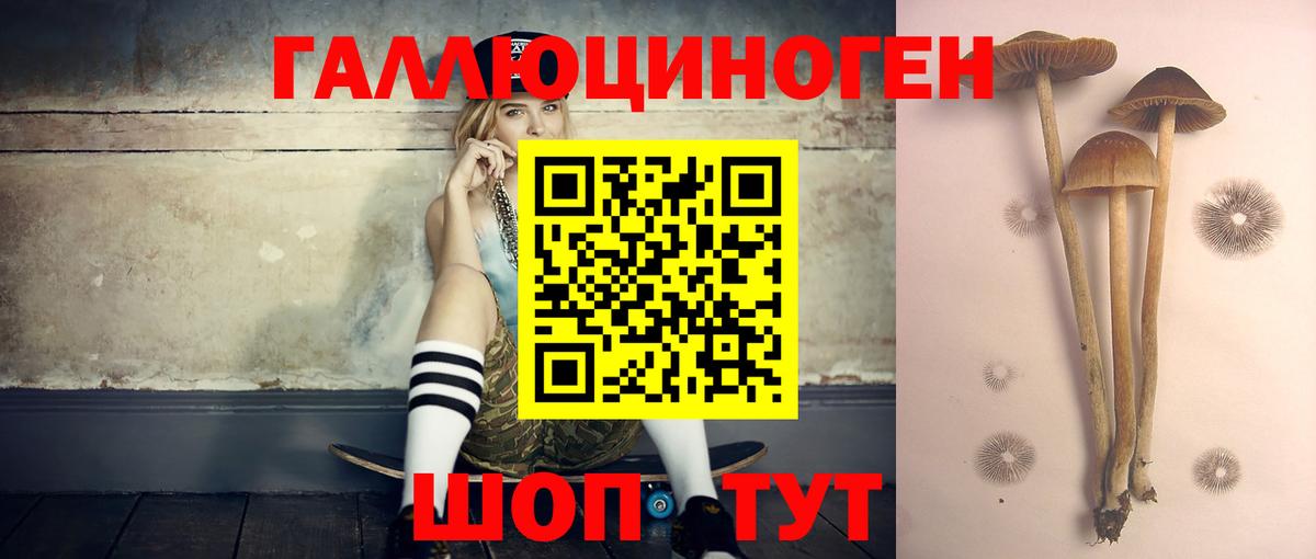 Великие Луки  Галлюциногенные грибы MAGIC MUSHROOMS  Вход с VPN  Галлюциногенные грибы GOLDEN TEACHER 